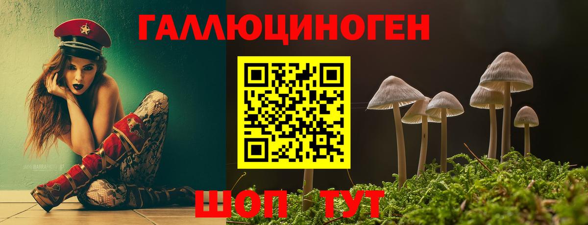 цены наркотик  Псилоцибиновые грибы прущие грибы  Псилоцибиновые грибы Psilocybe  Вход с VPN  Лениногорск 